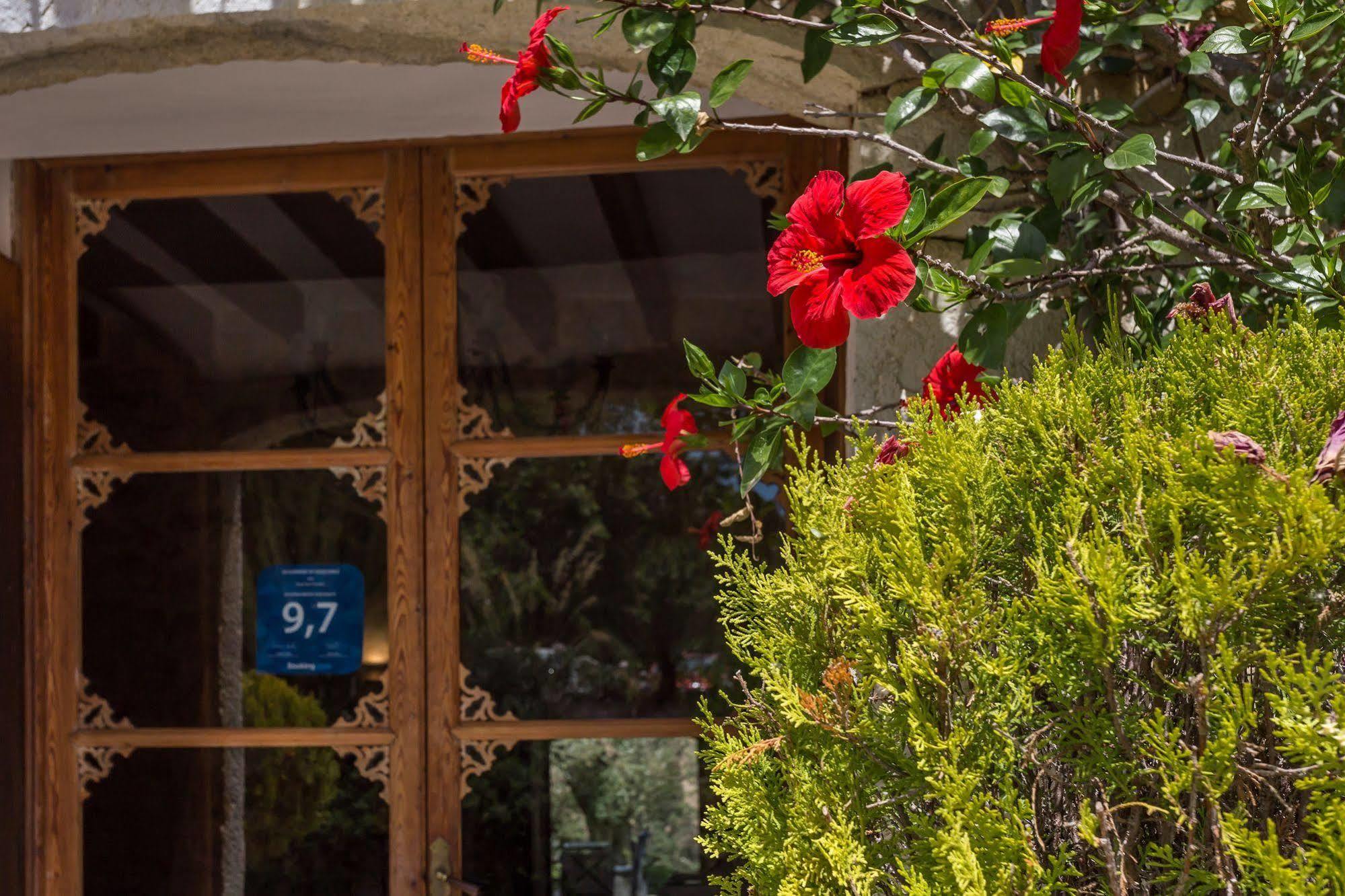 מוסקארי Finca Son Ametler מראה חיצוני תמונה